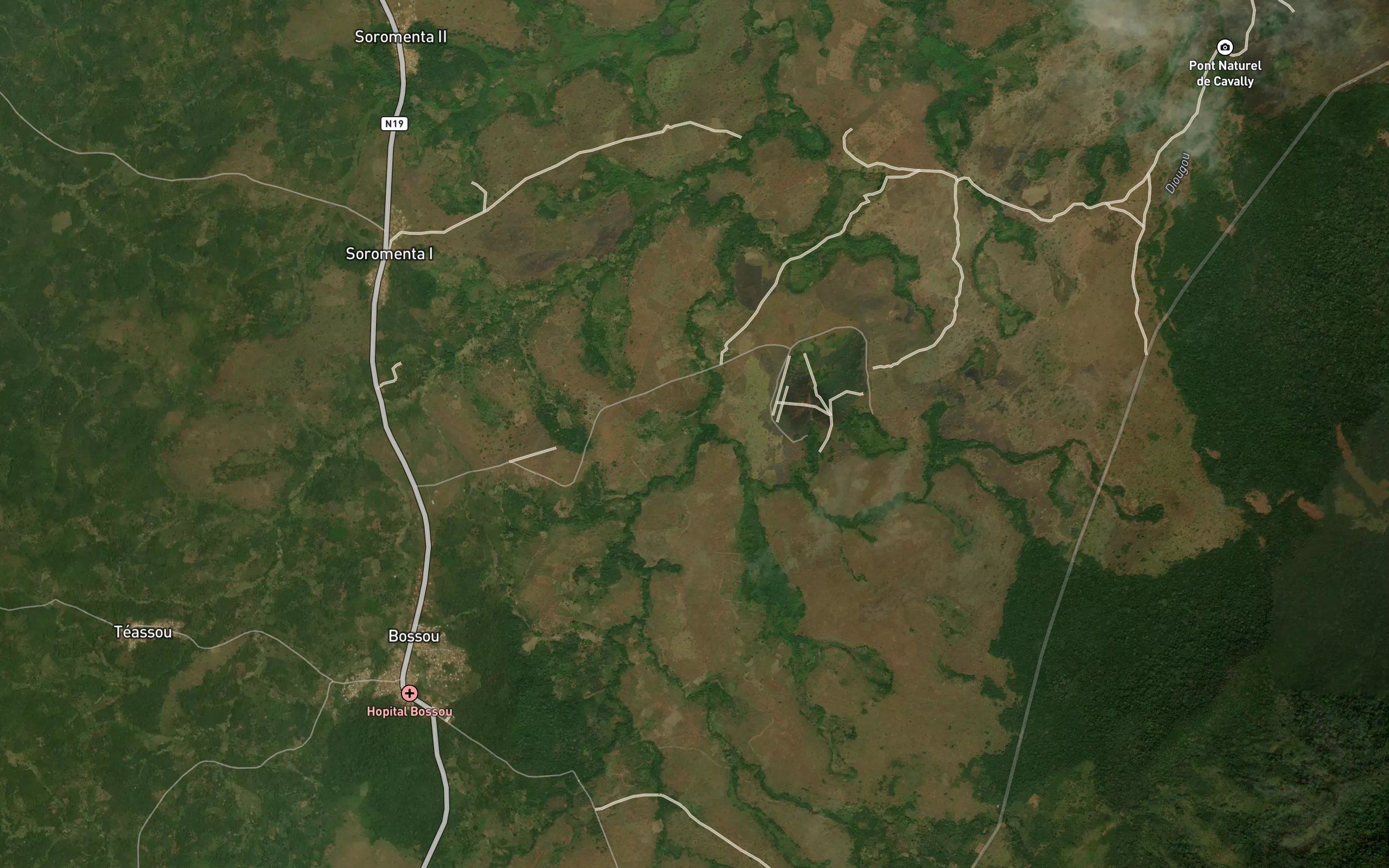 Bangue
