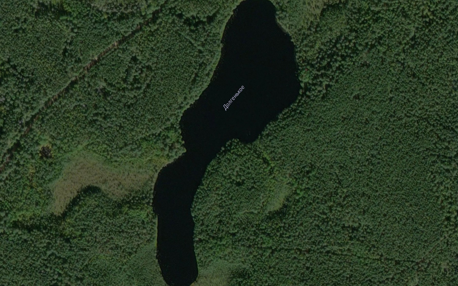 Satellite map of the Ozero Dolgen'koye