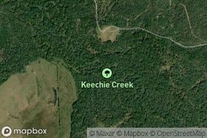 Buffalo Creek