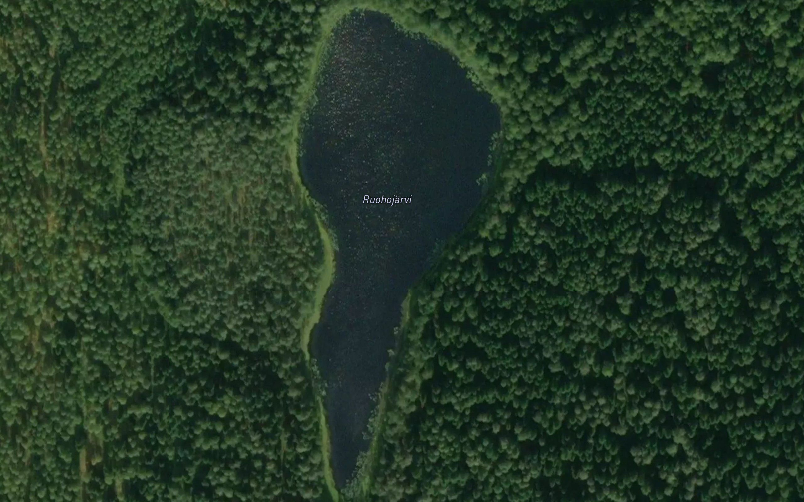 Ruohojarvi