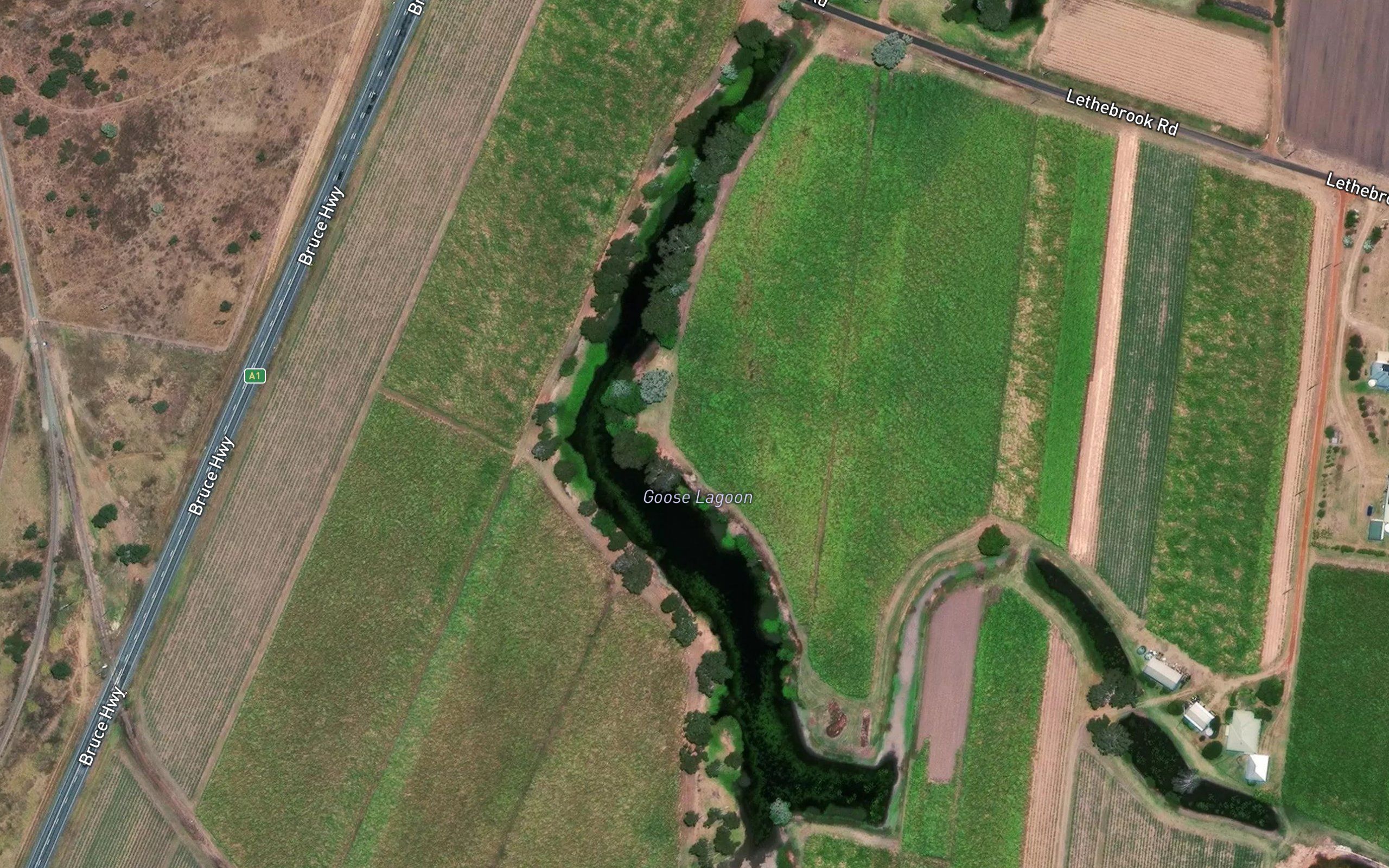 Goose Lagoon