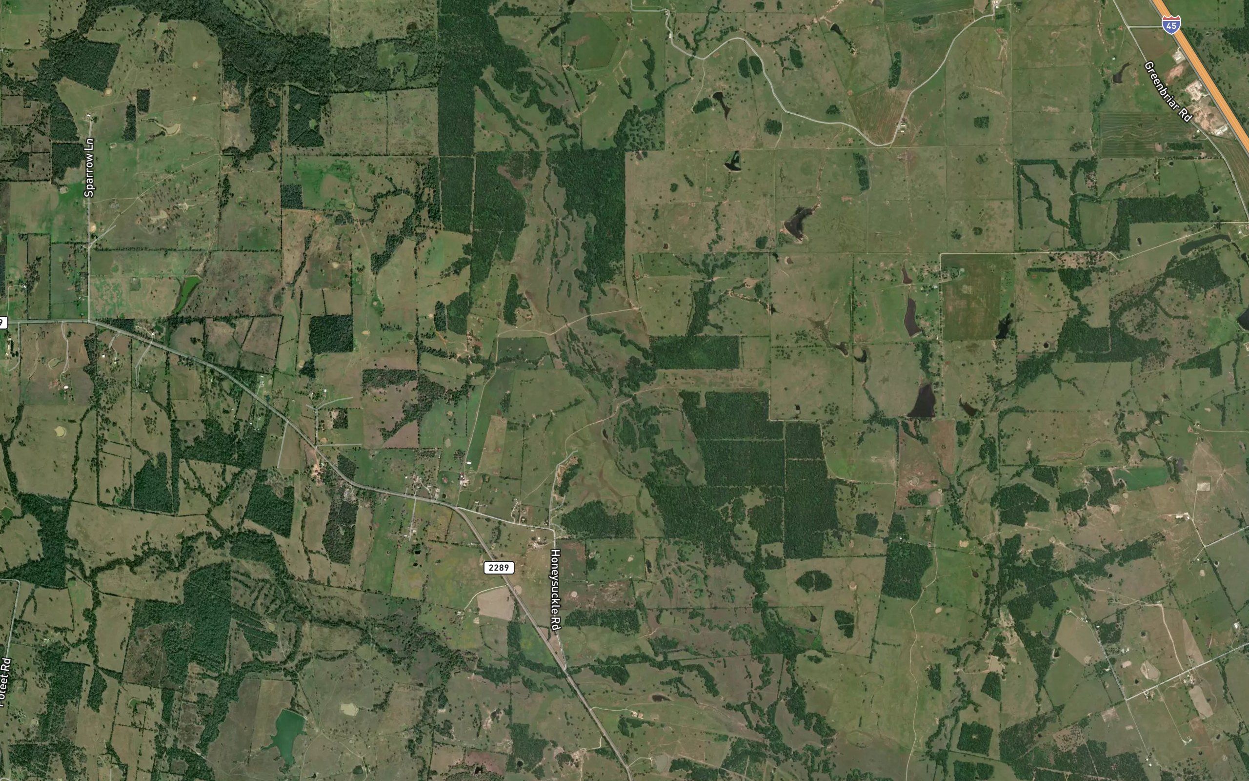Coplin Branch