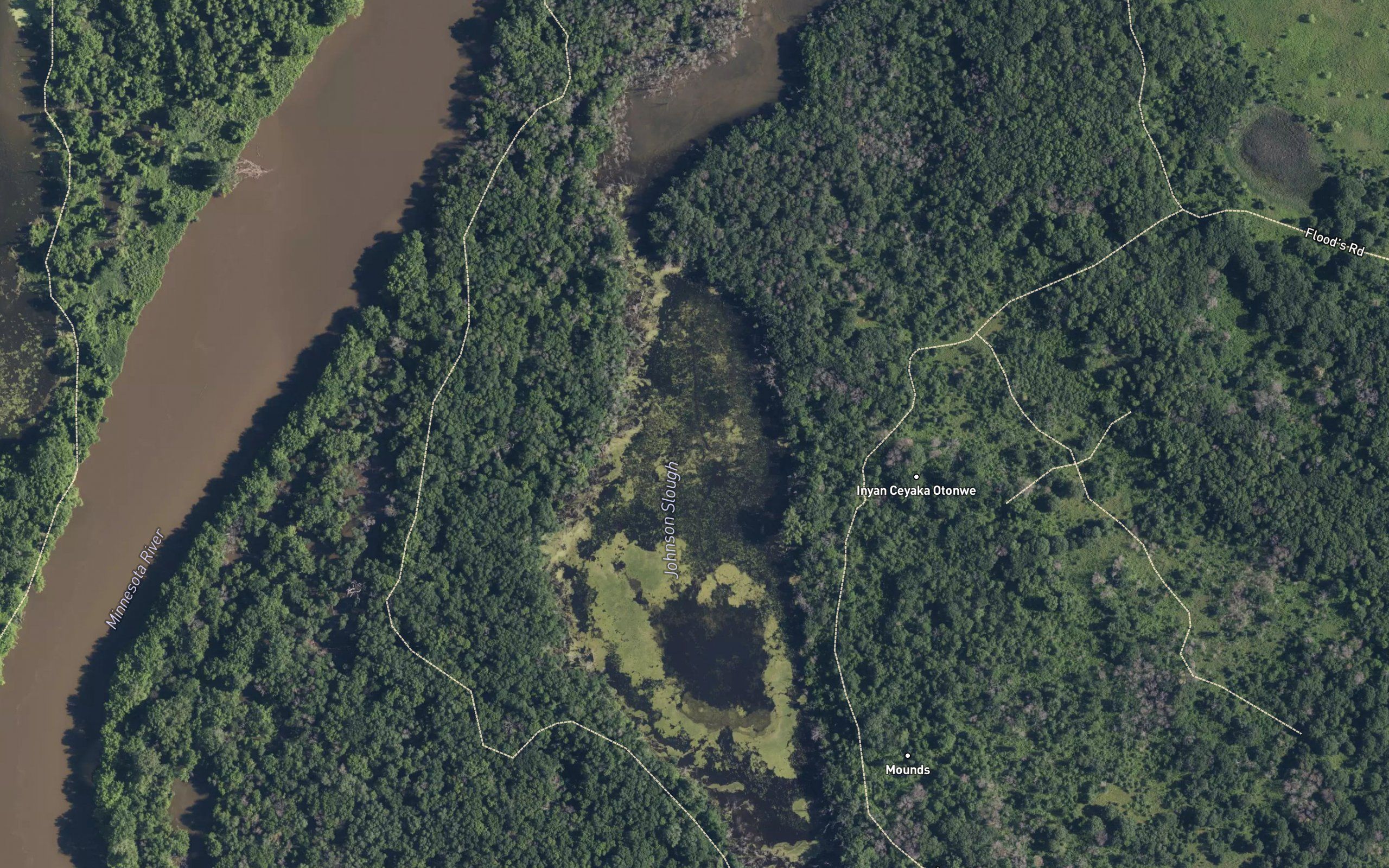 Johnson Slough