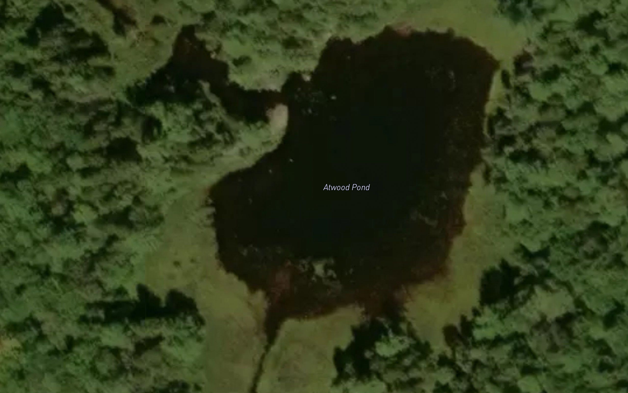 Atwood Pond
