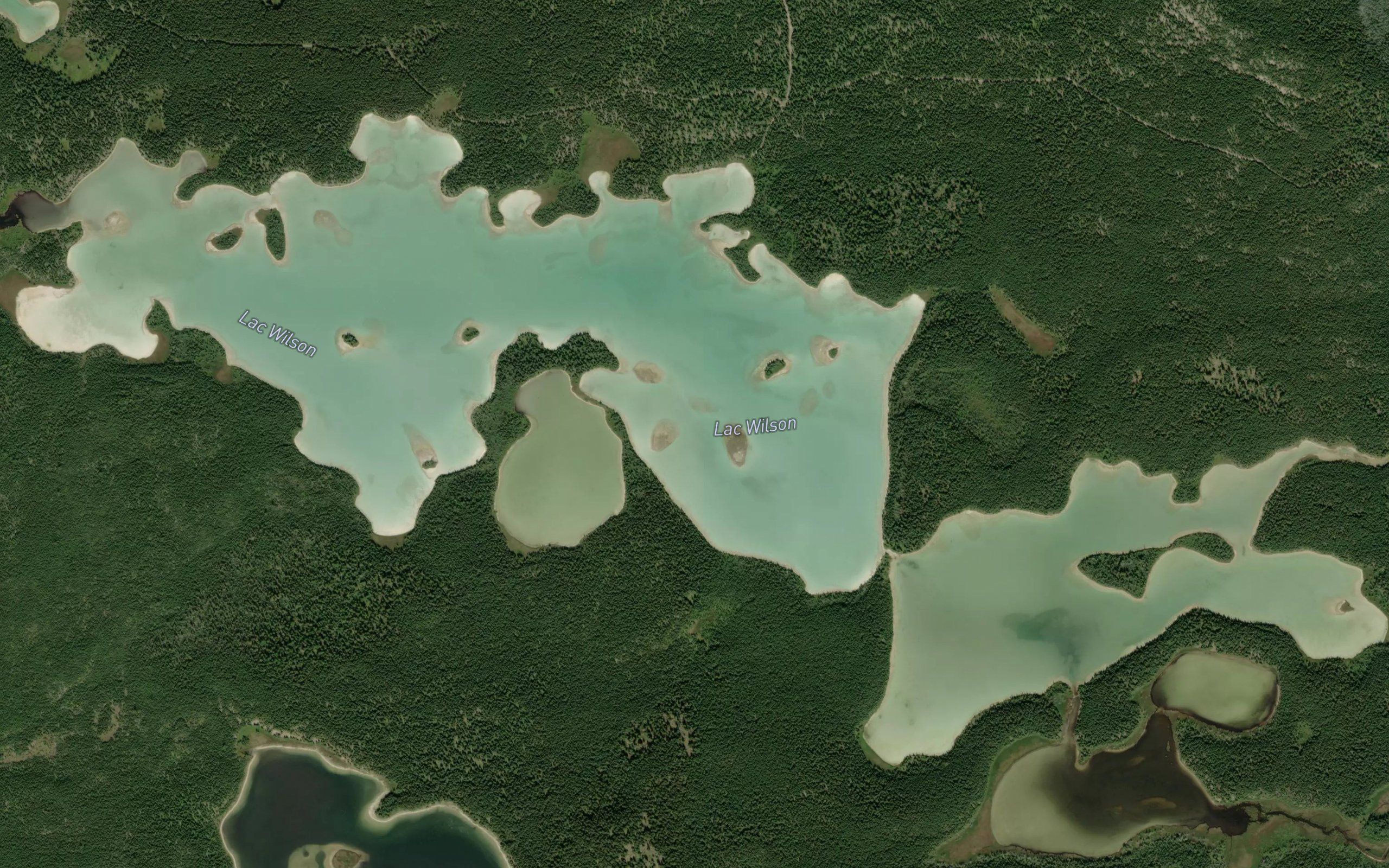 Lac Wilson