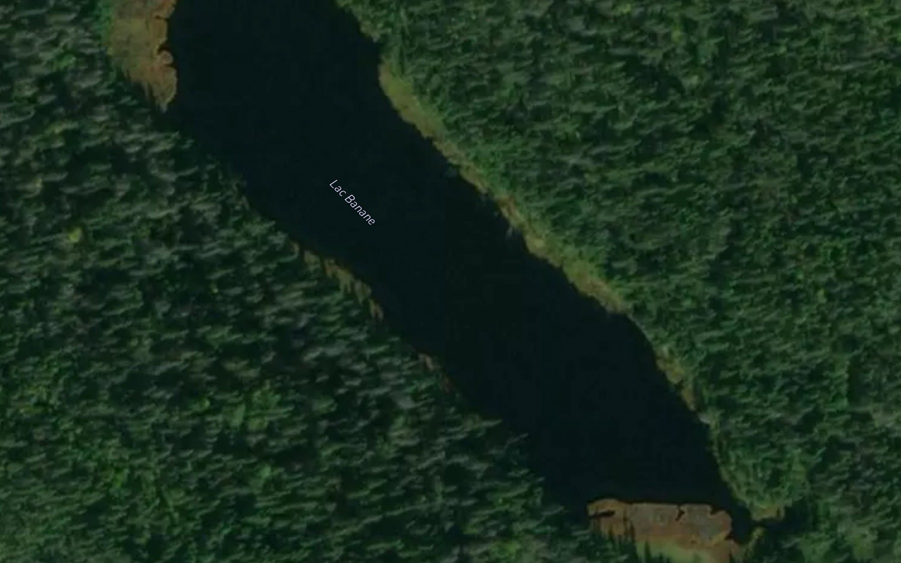 Satellite map of the Lac Banane