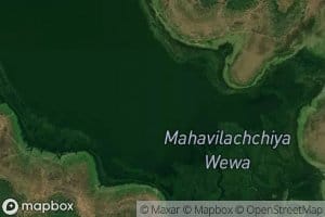 Maha Wilachchiya Wewa