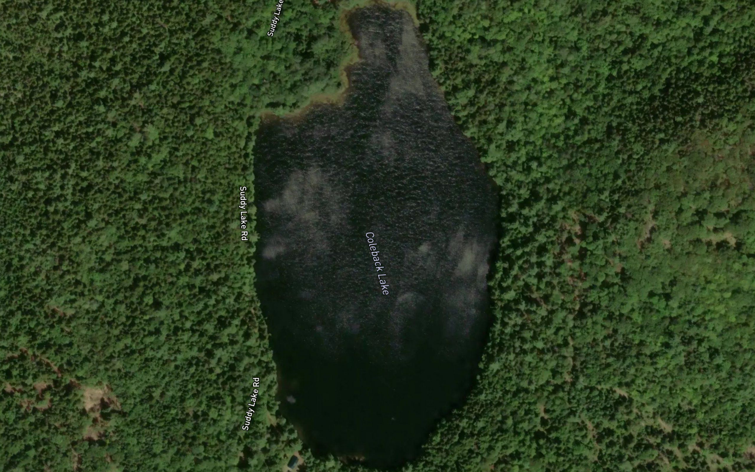 Coleback Lake