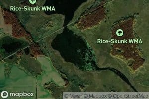 Mud Lake