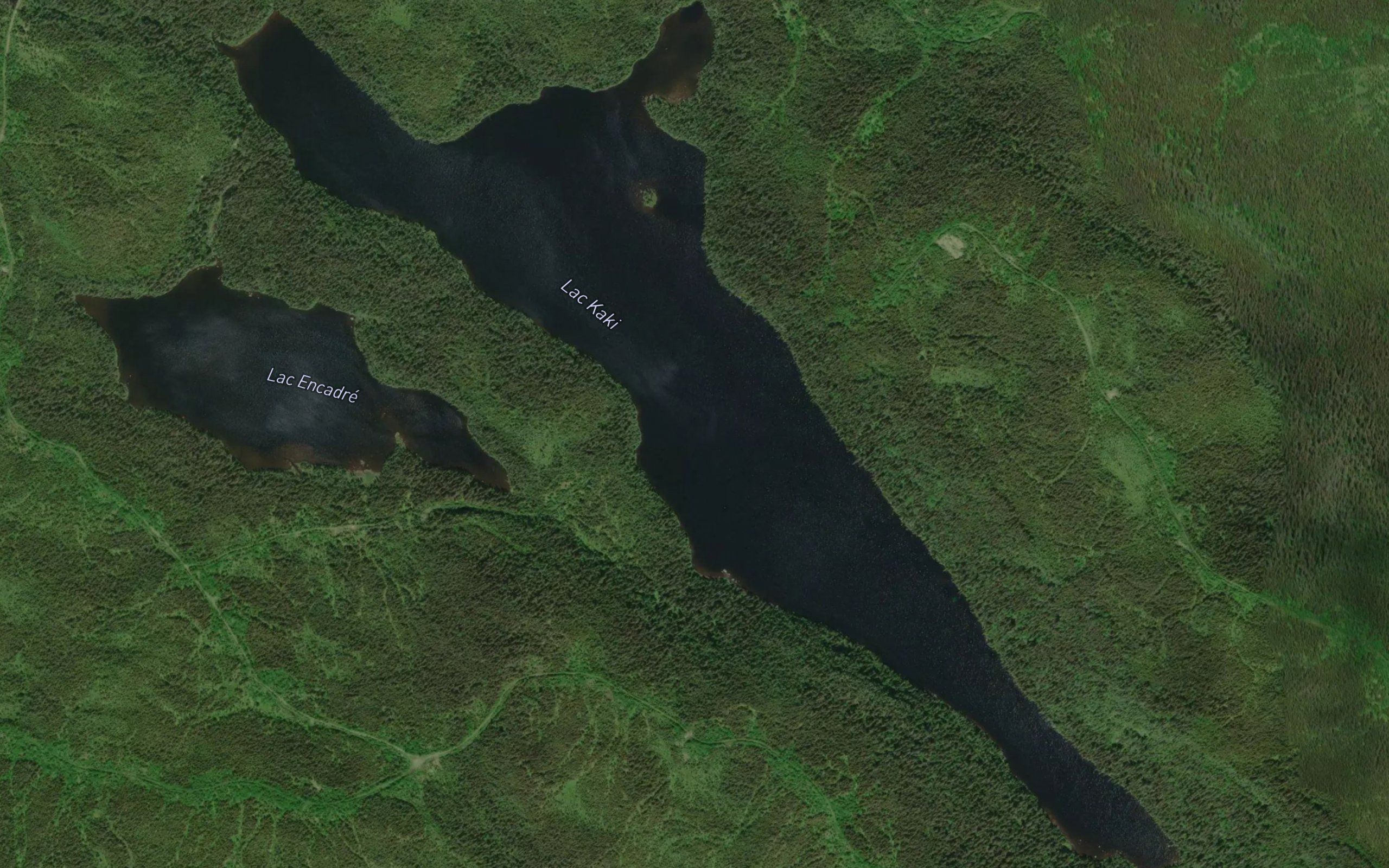 Lac Kaki