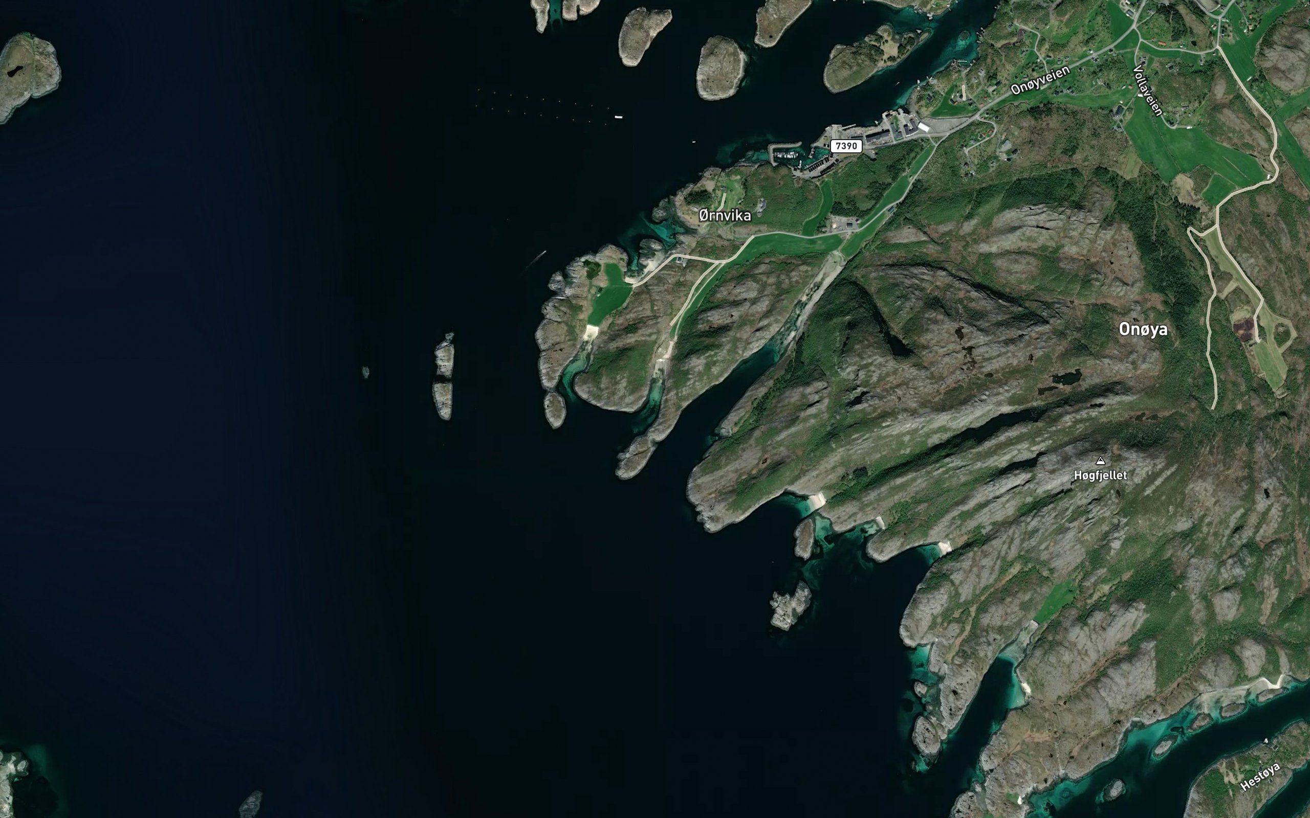 Hestvika
