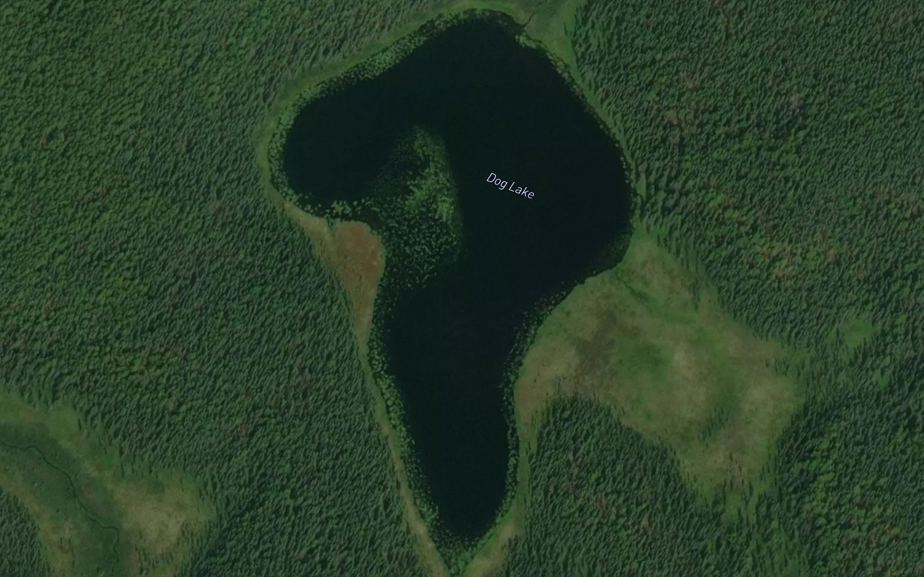 Satellite map of the Dog Lake