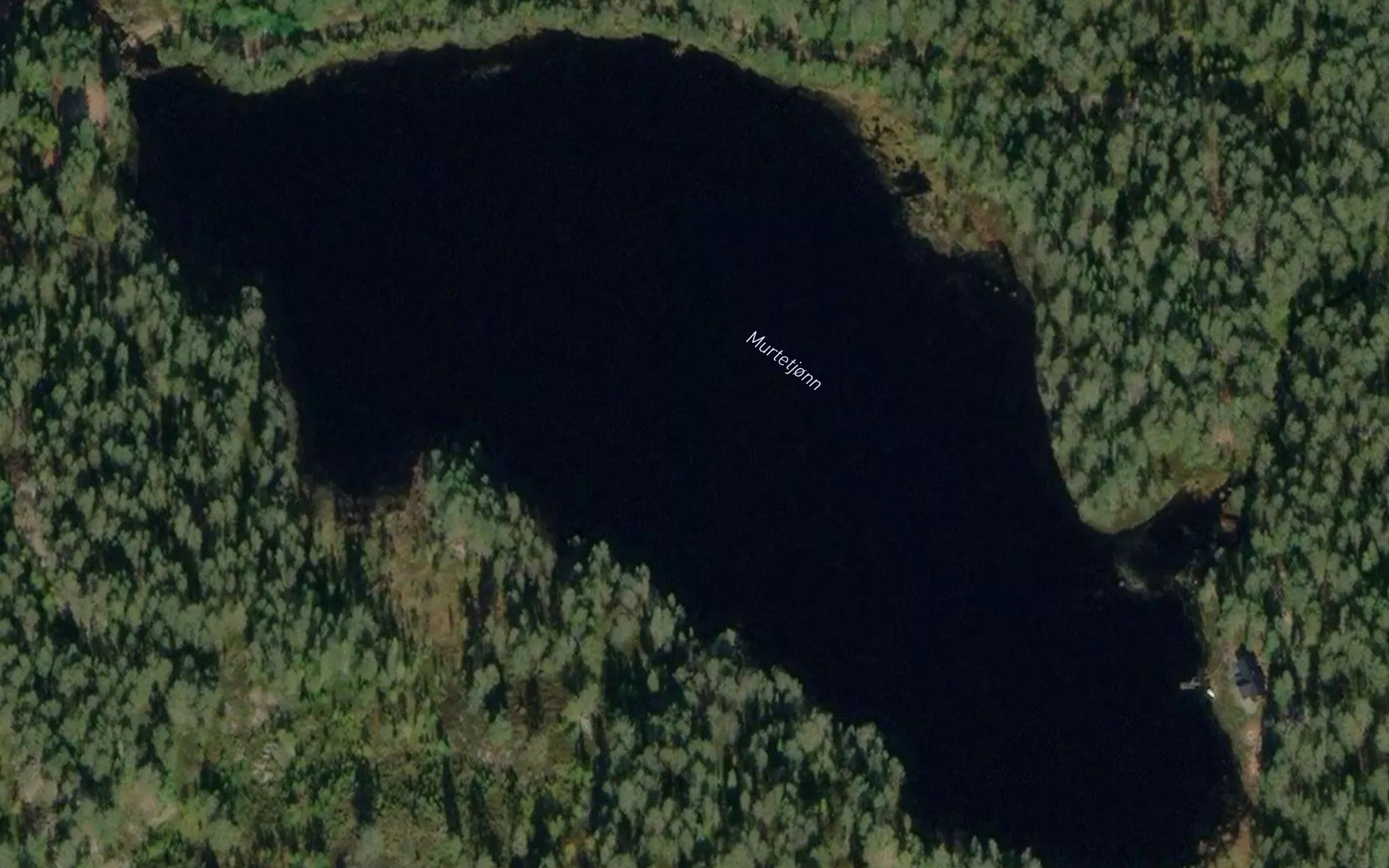 Morttjorn