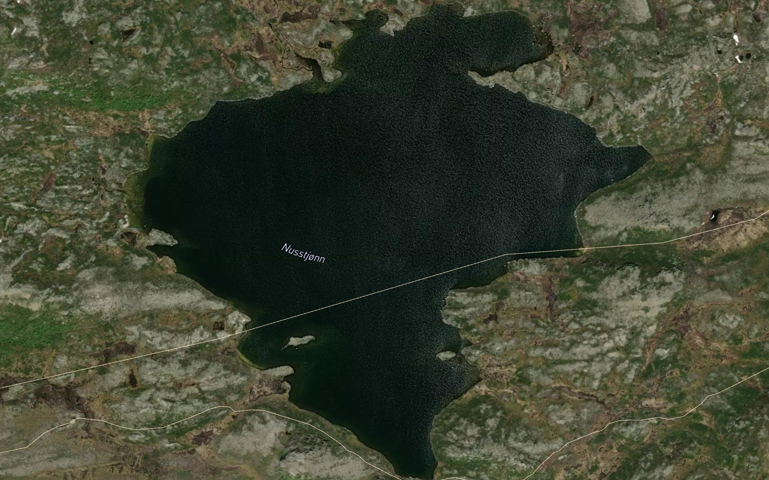 Nusstjorn