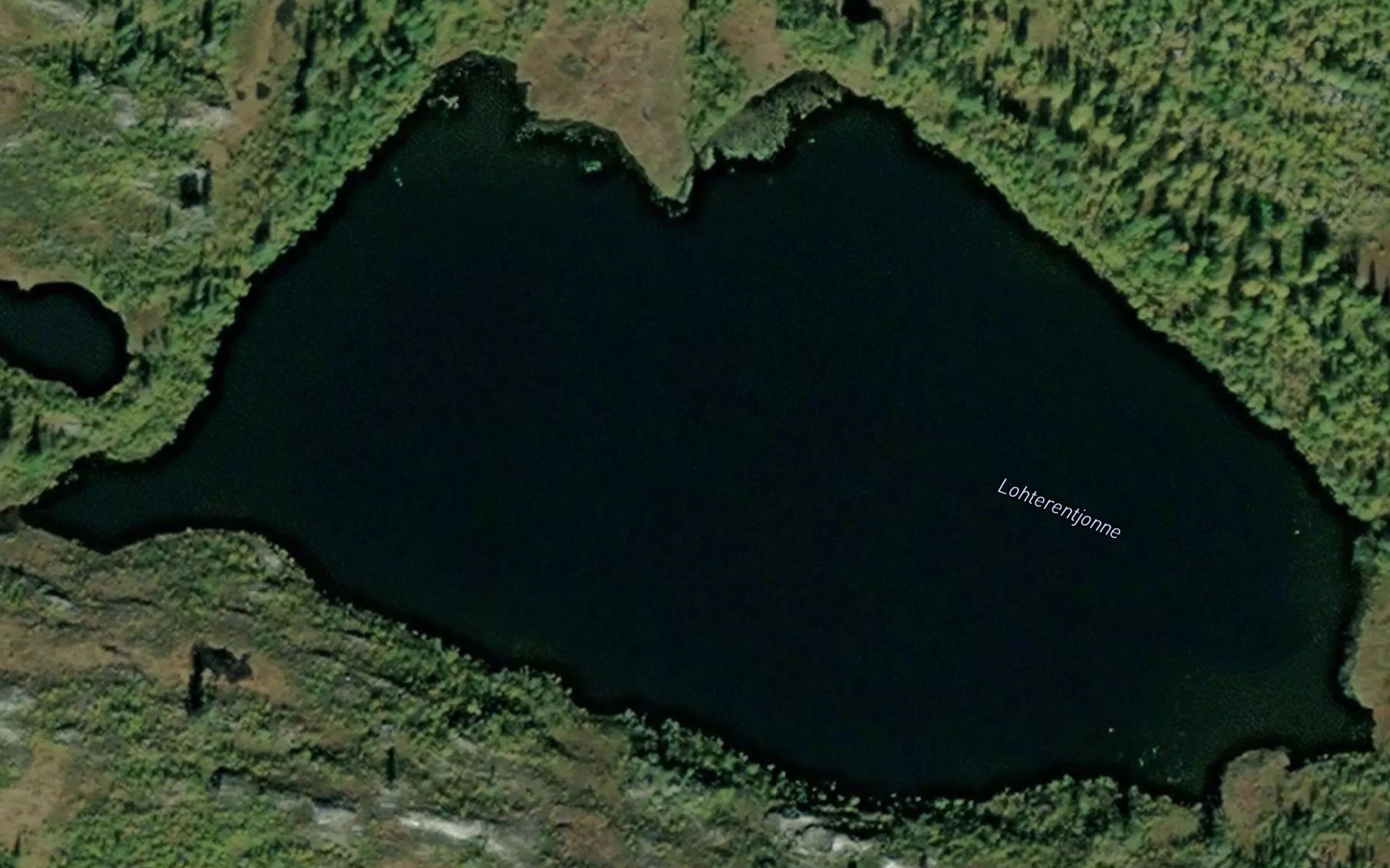 Lohterentjonne