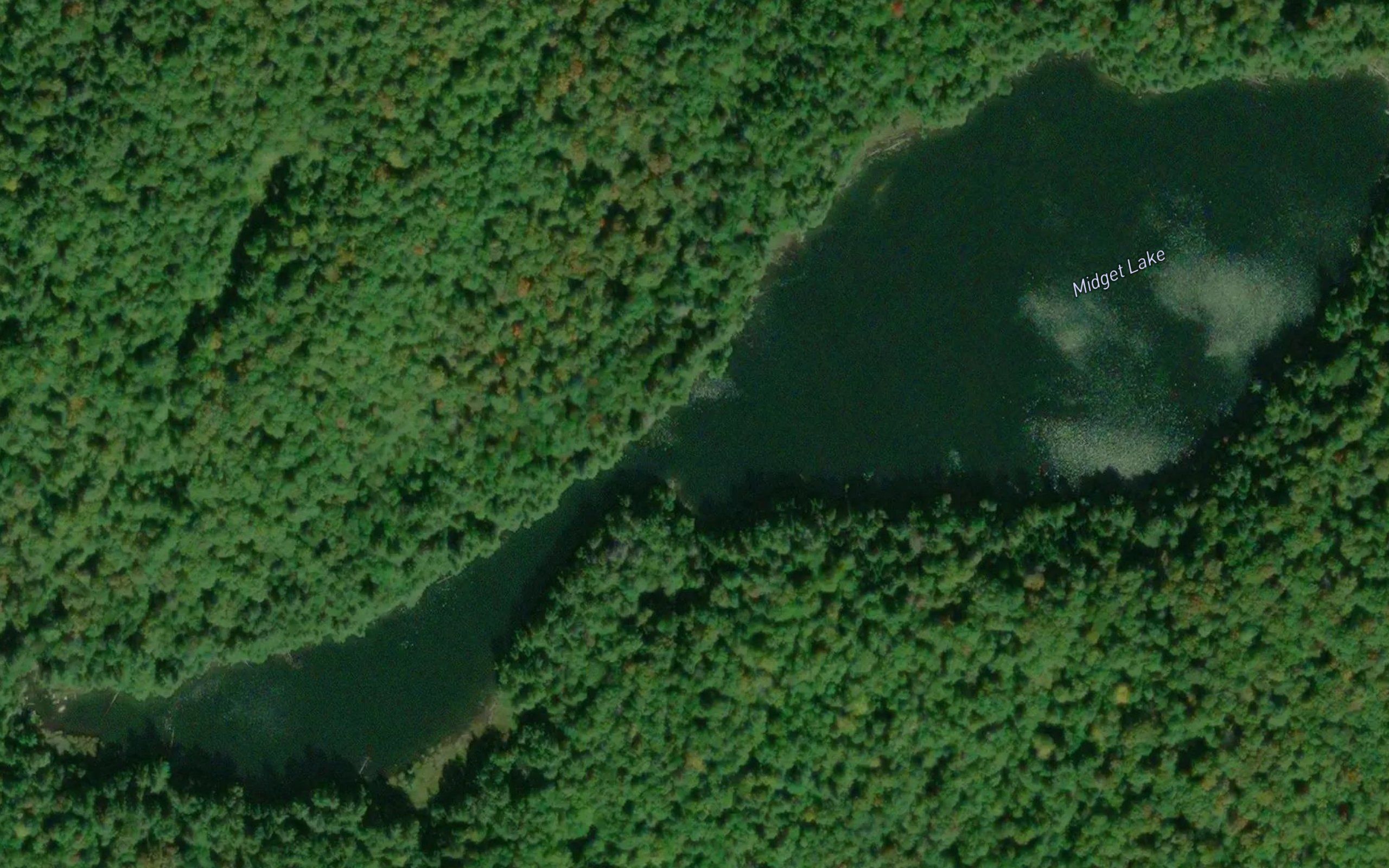 Midget Lake