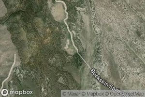 Buckskin Spring
