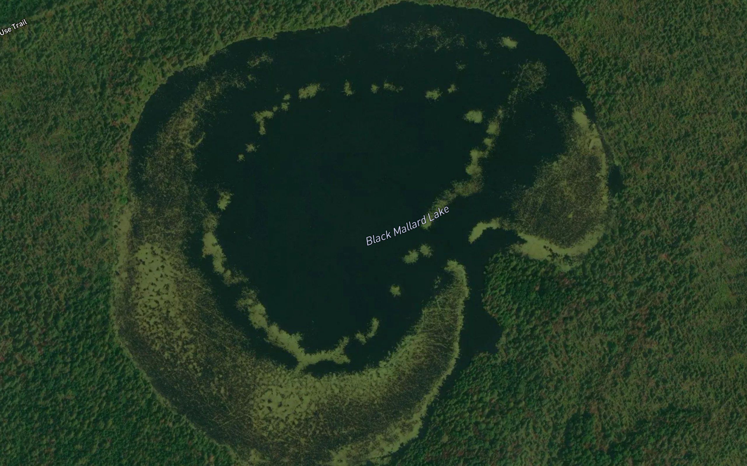 Black Mallard Lake