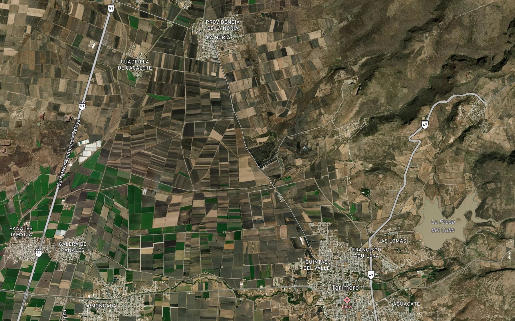 Satellite map of the Tepeguaje