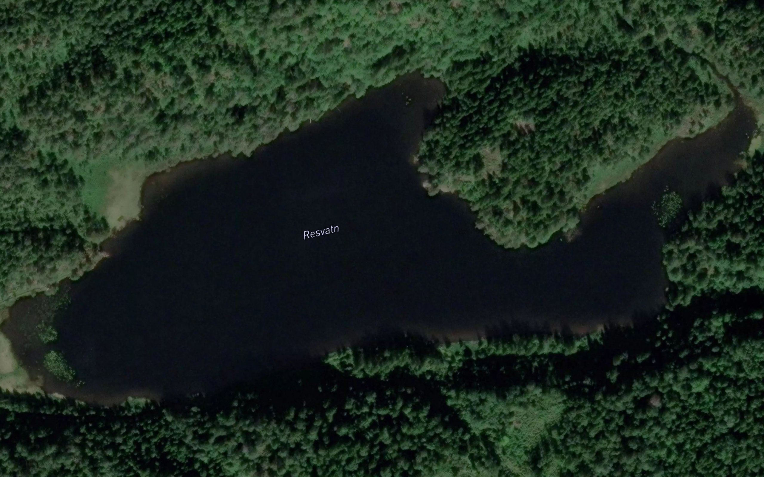 Risvannet