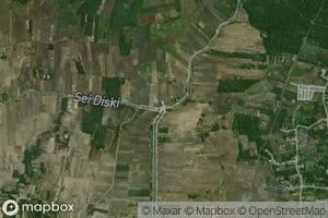 Sei Diski