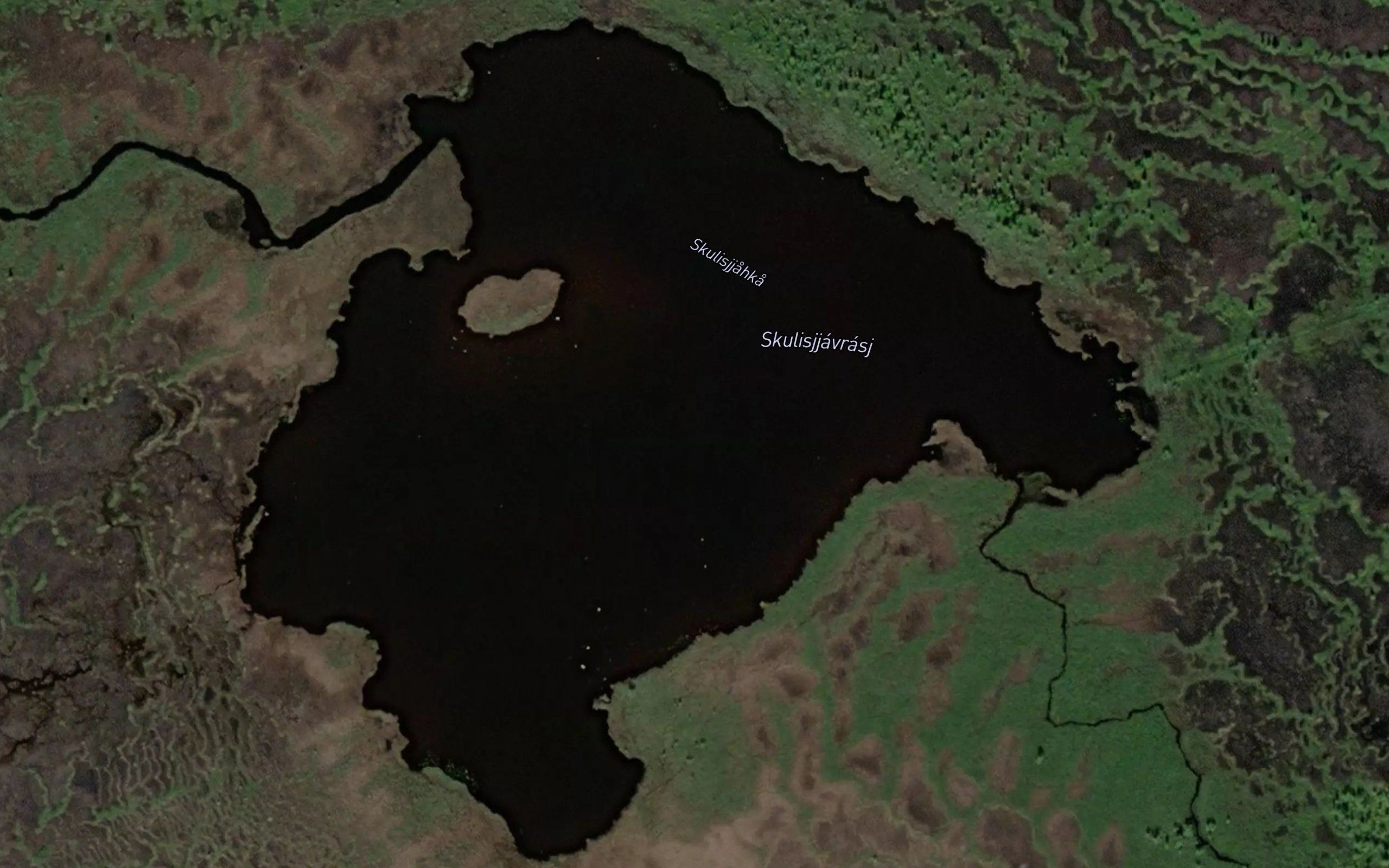 Skulesjaure