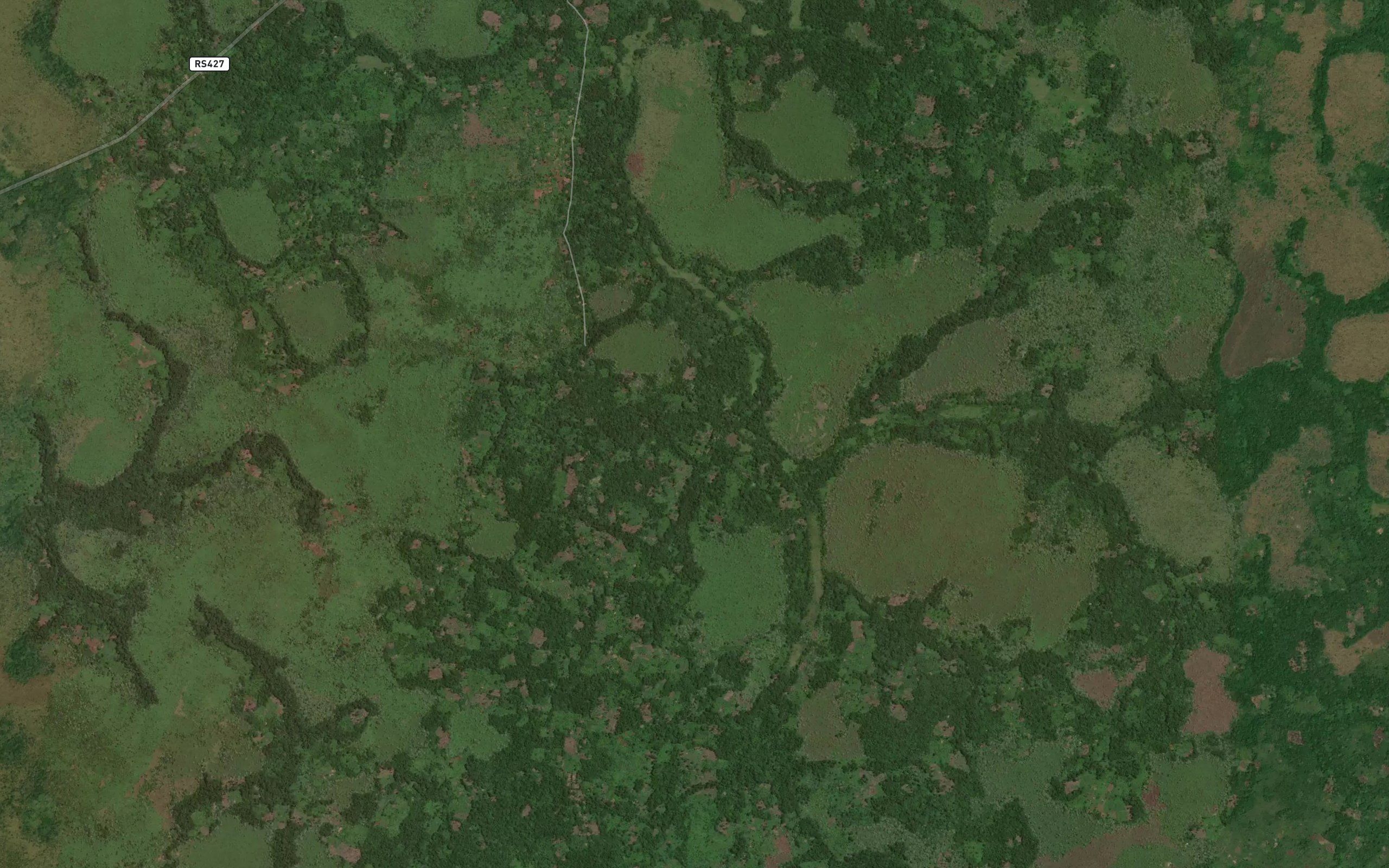 Napidi