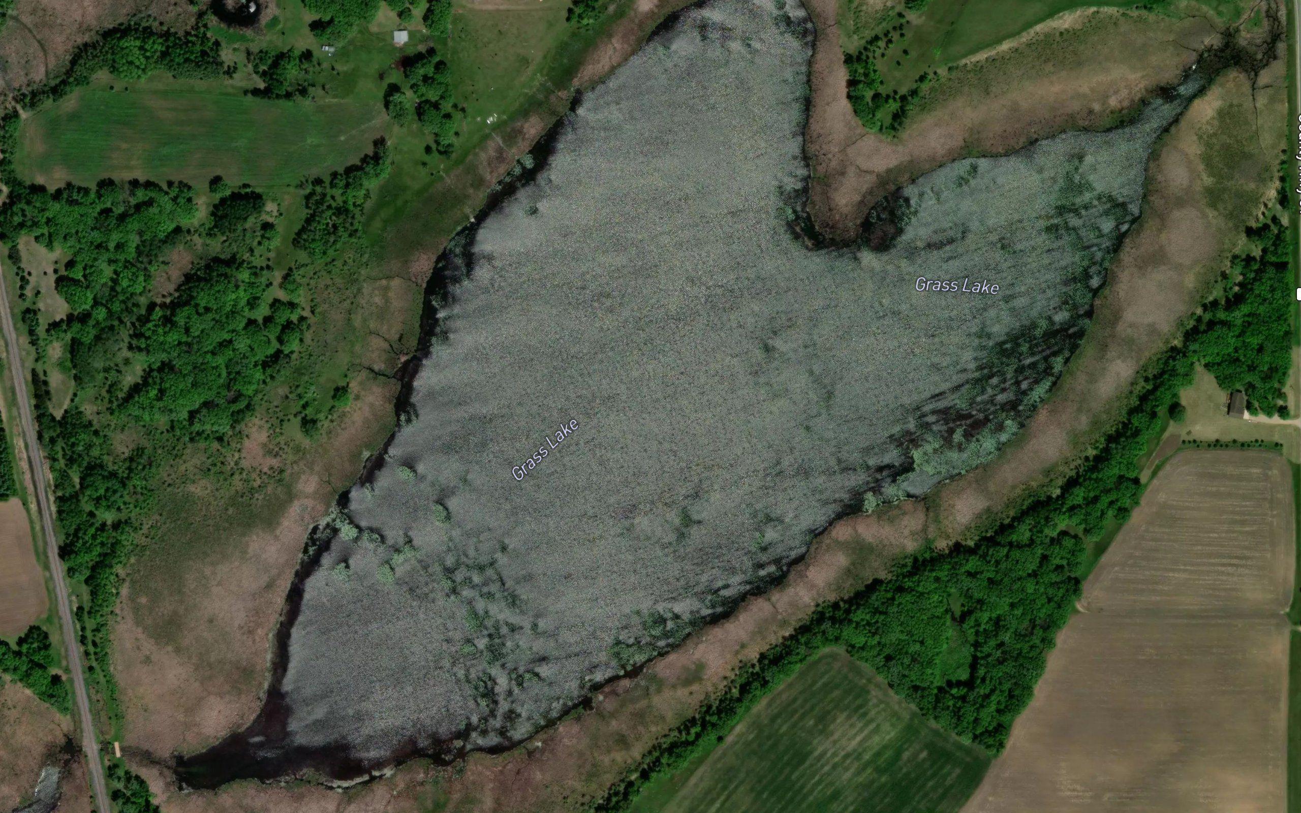 Grass Lake
