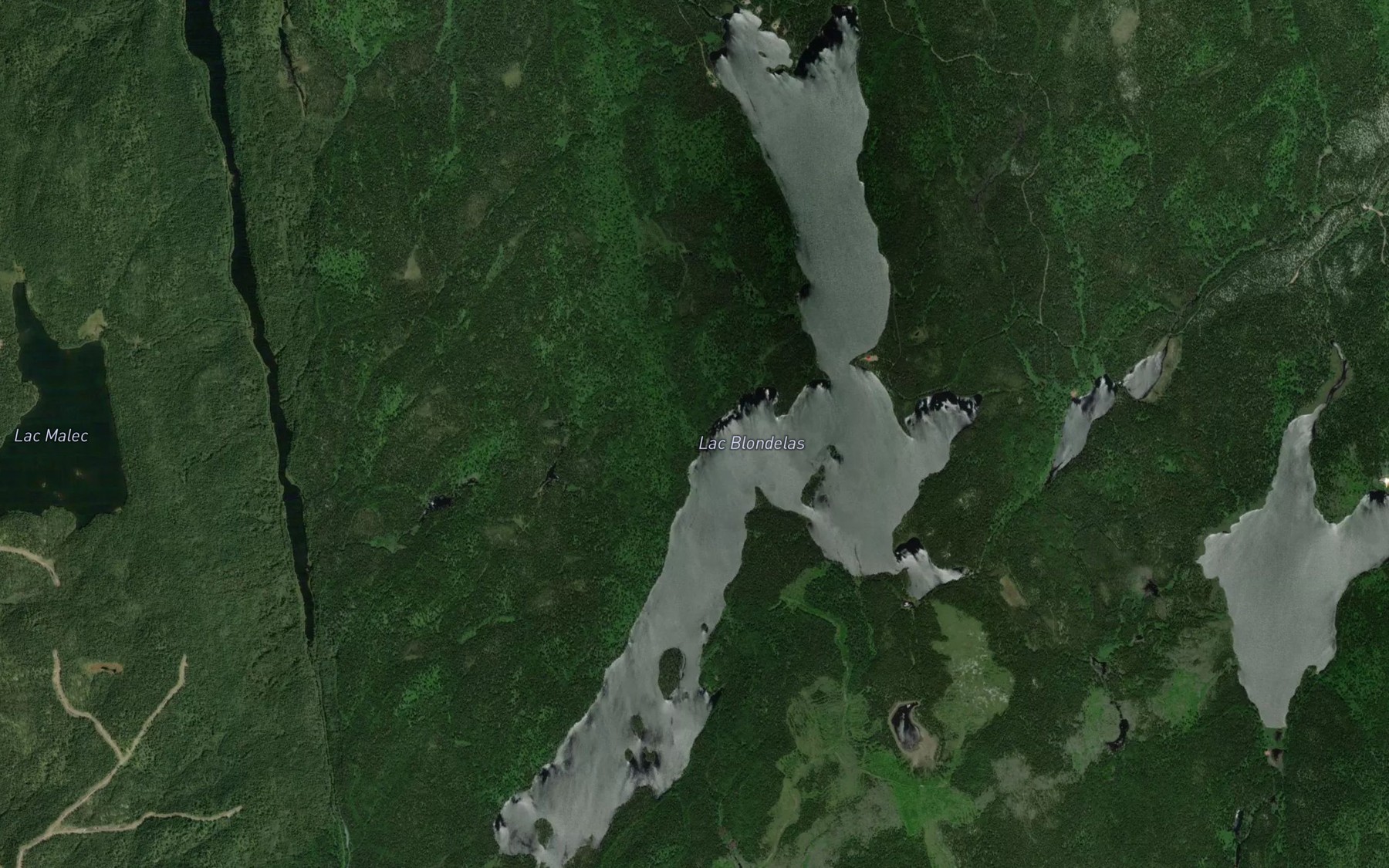 Satellite map of the Lac Blondelas
