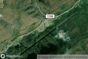 Salt Trace Branch