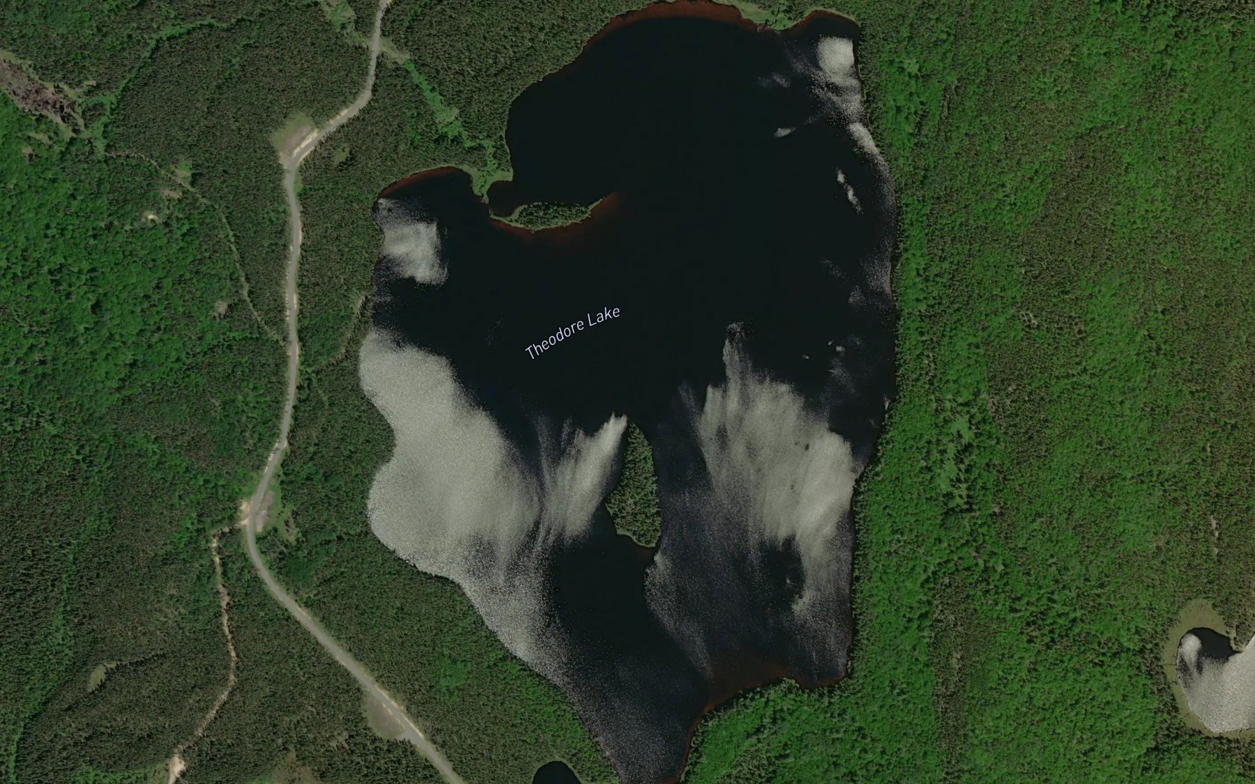 Satellite map of the Theodore Lake