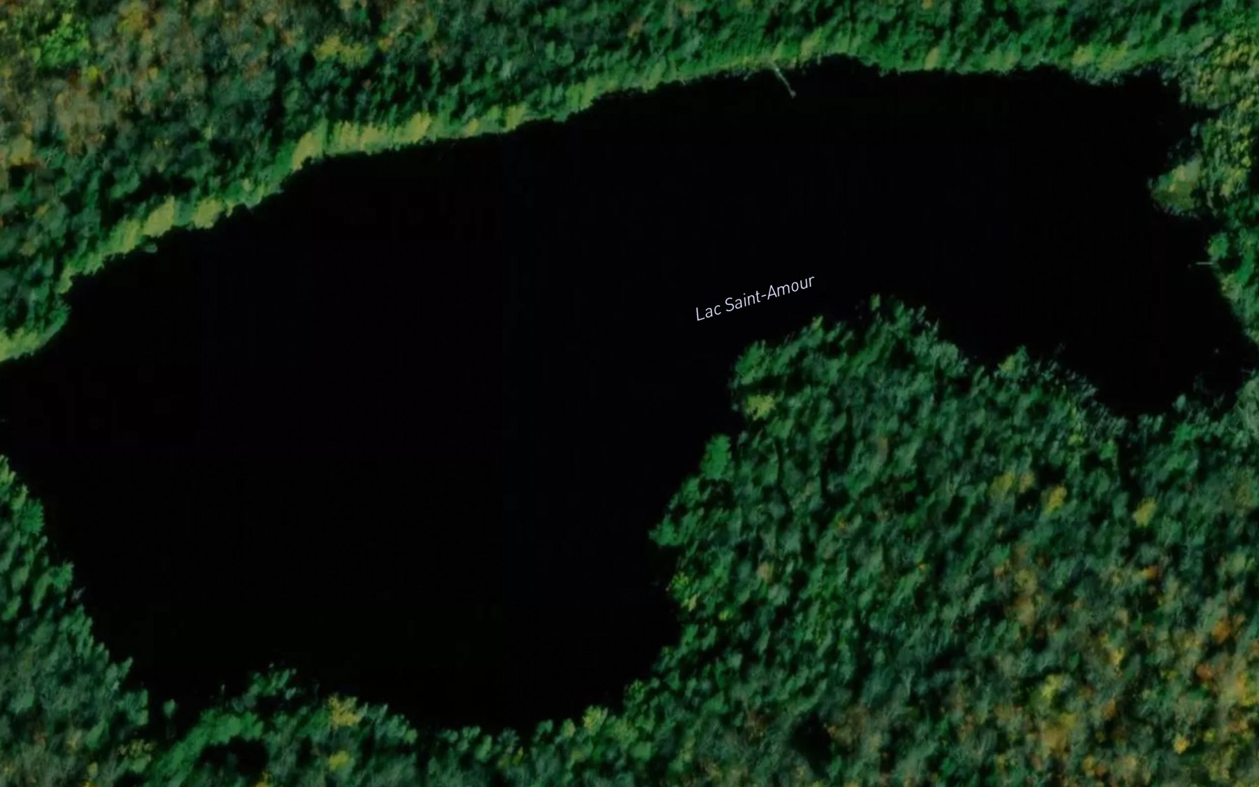 Satellite map of the Lac Saint-Amour