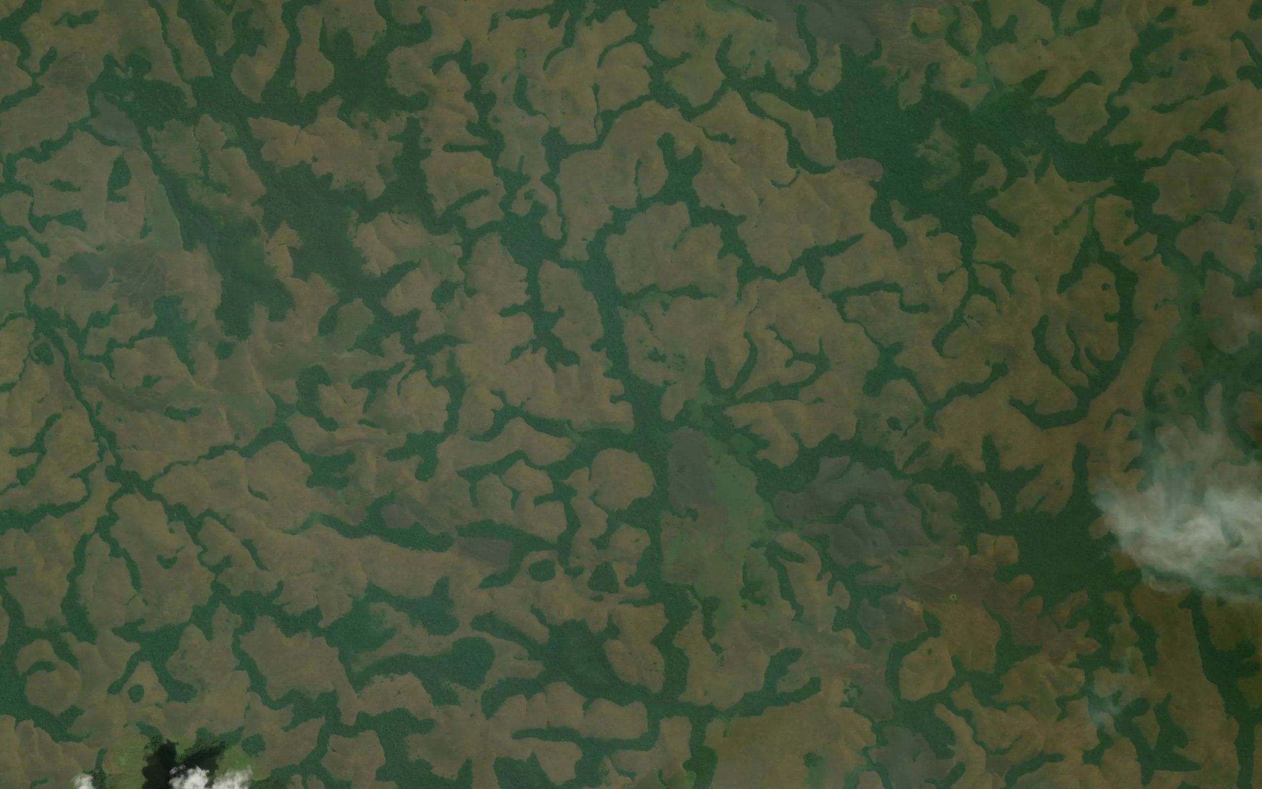 Cuango