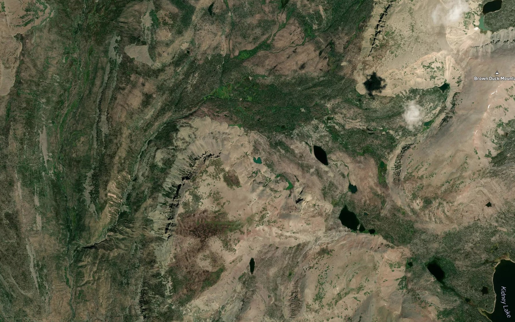 Satellite map of the Horseshoe Lake
