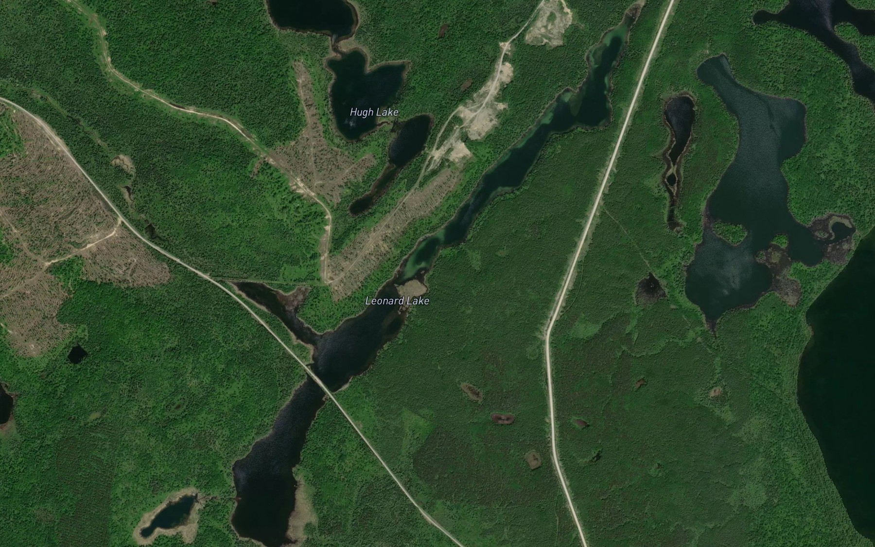 Satellite map of the Leonard Lake