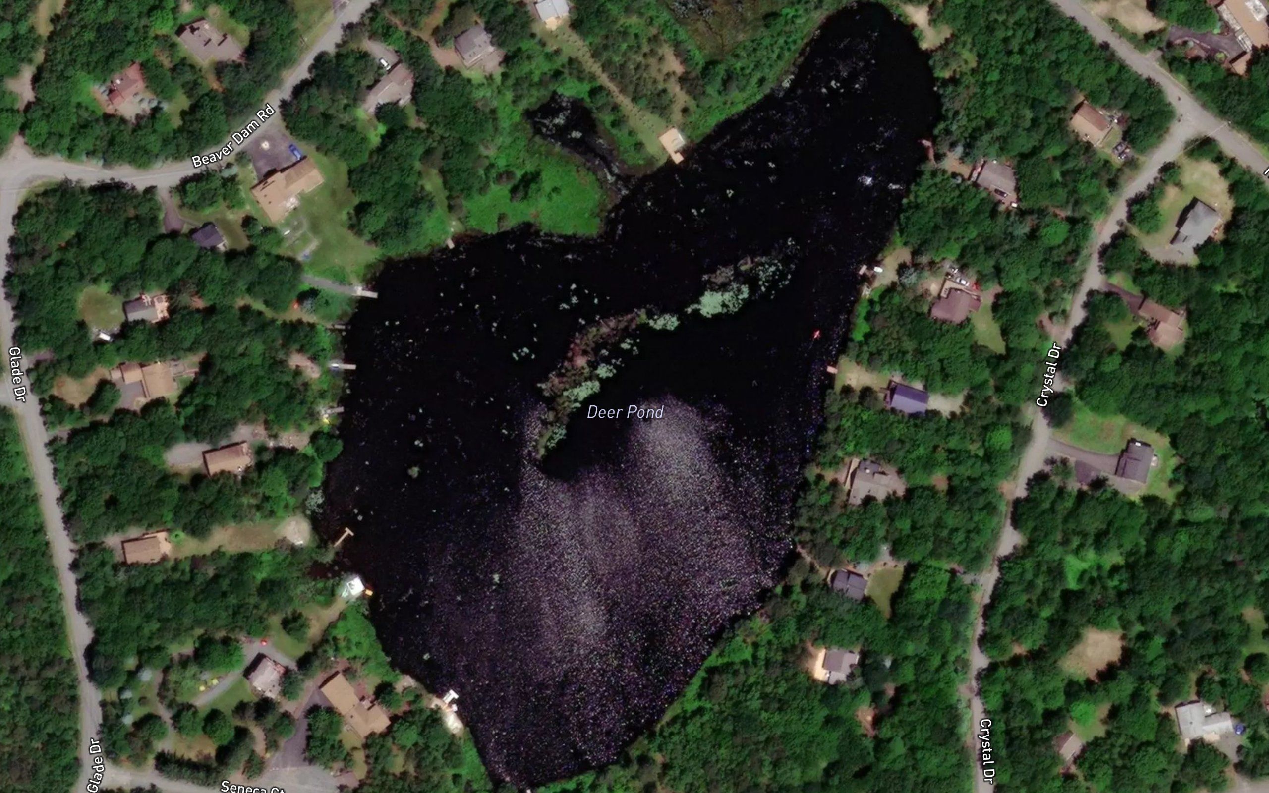 Deer Pond