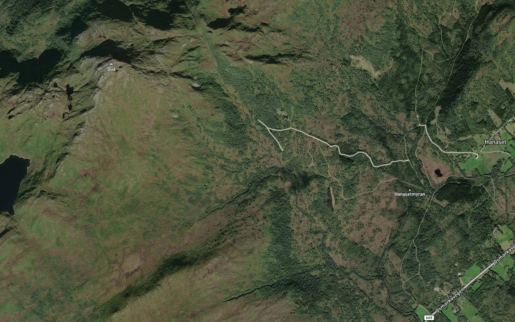 Satellite map of the Turtlibekken