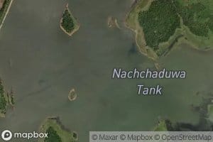 Nachchaduwa Tank