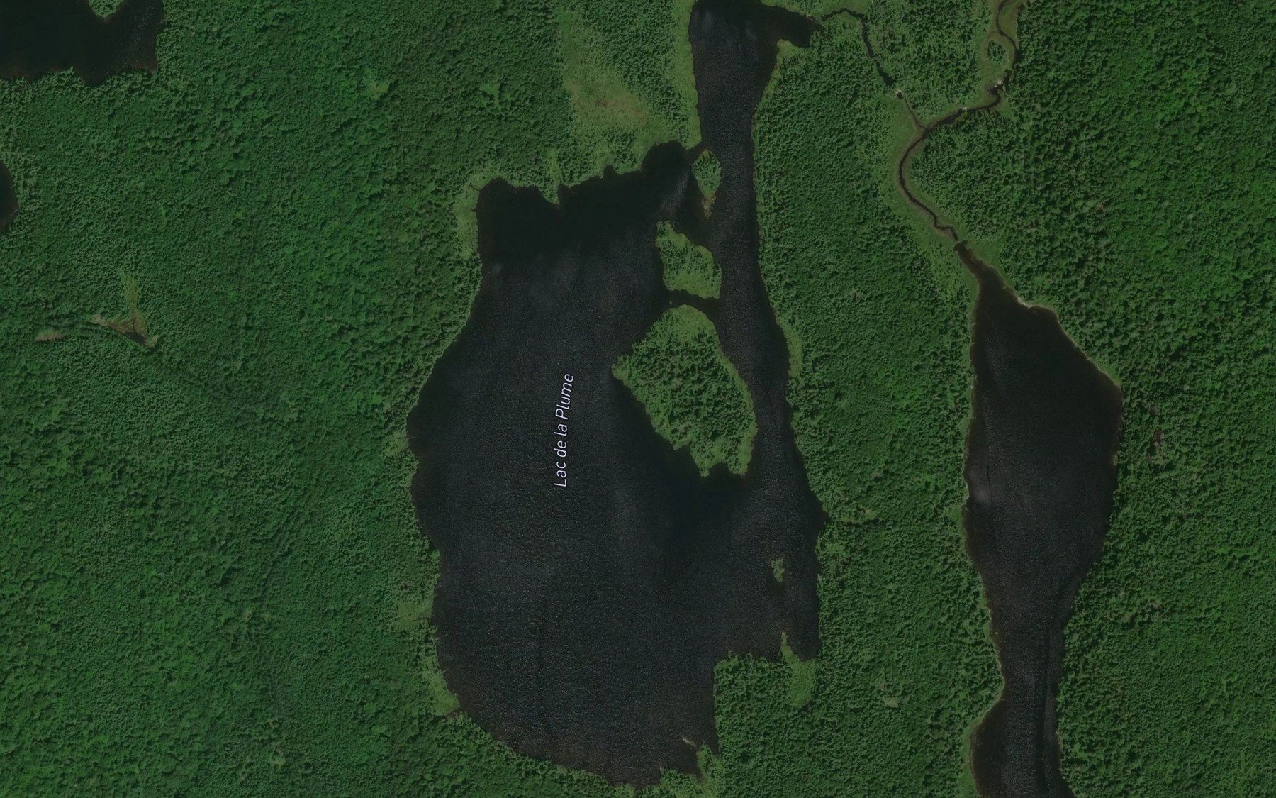 Satellite map of the Lac de la Plume