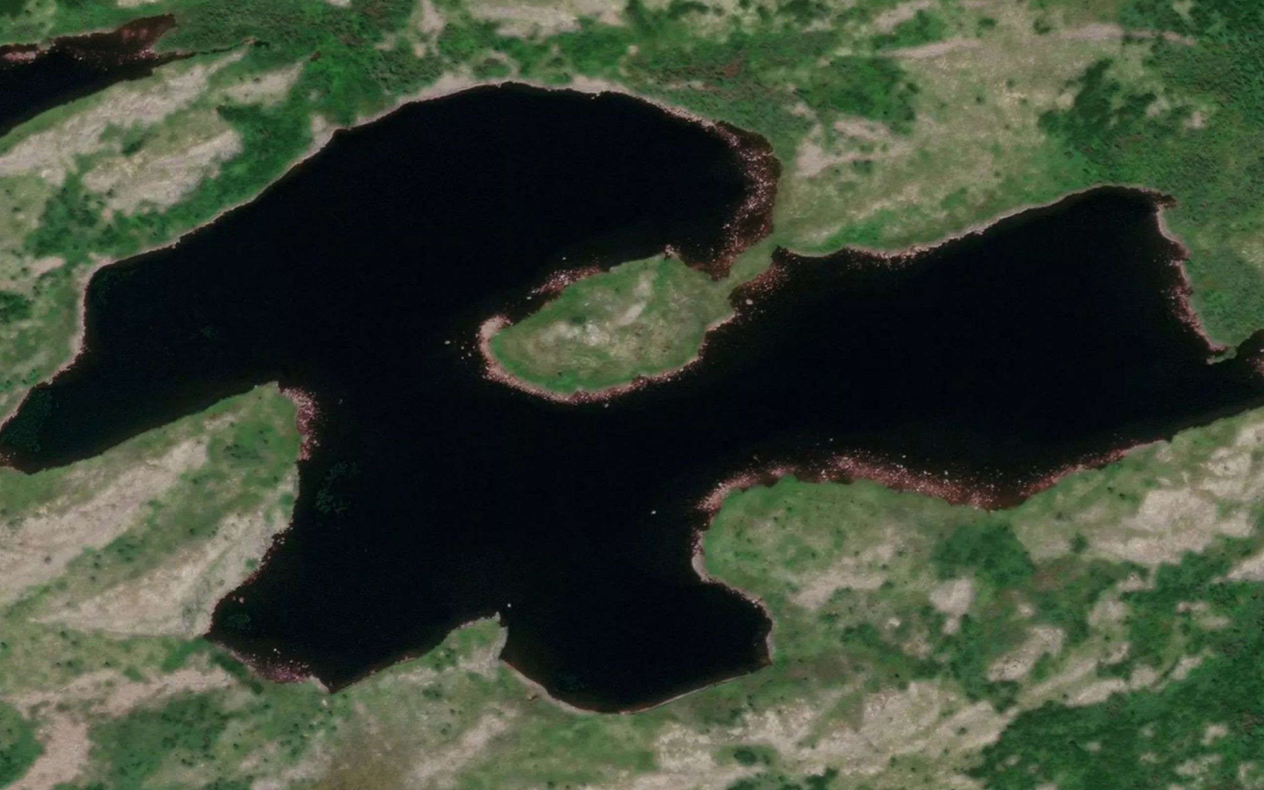Forked Pond