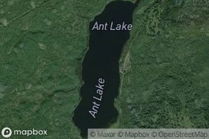 Ant Lake