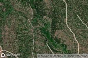 Pinus Creek