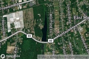 Mill Pond