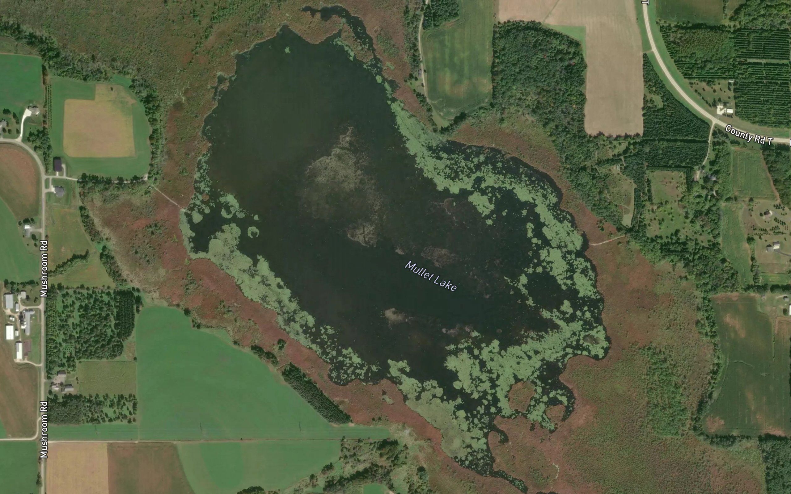 Mullet Lake