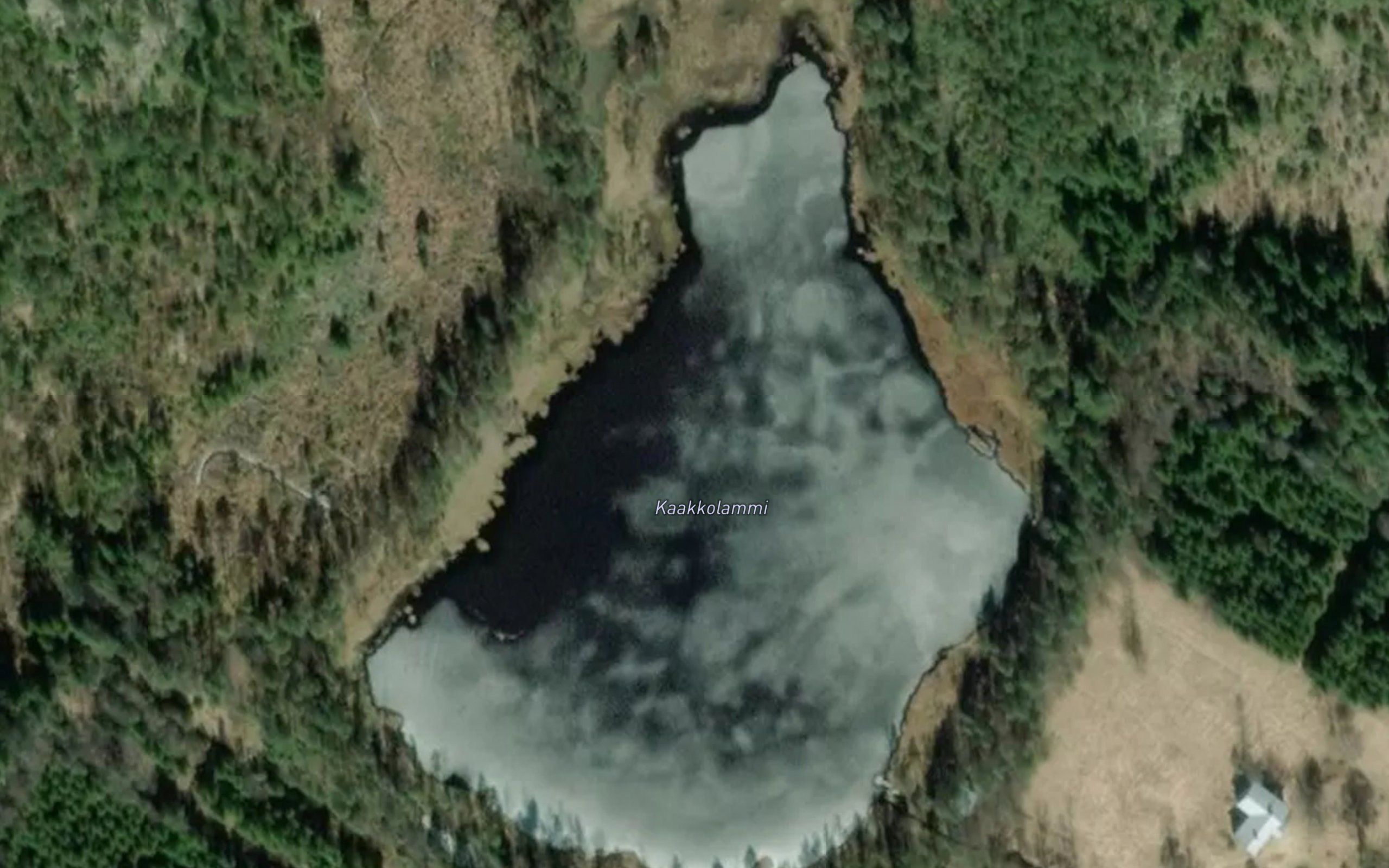 Kaakkolammi