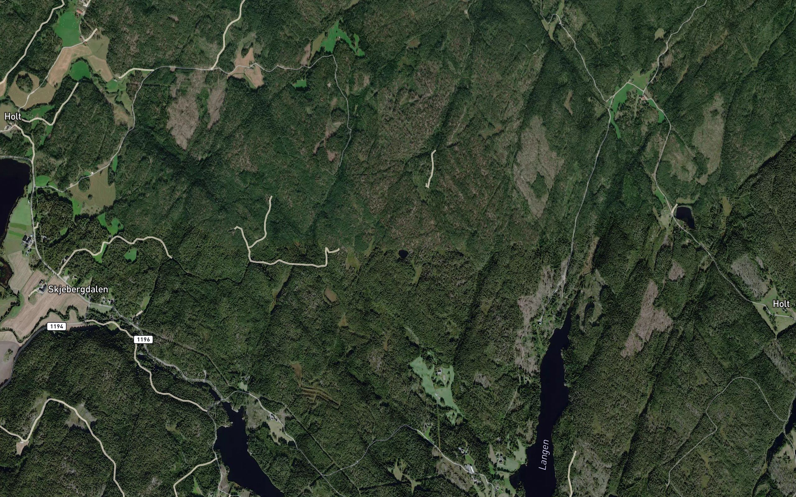 Hognipetjern