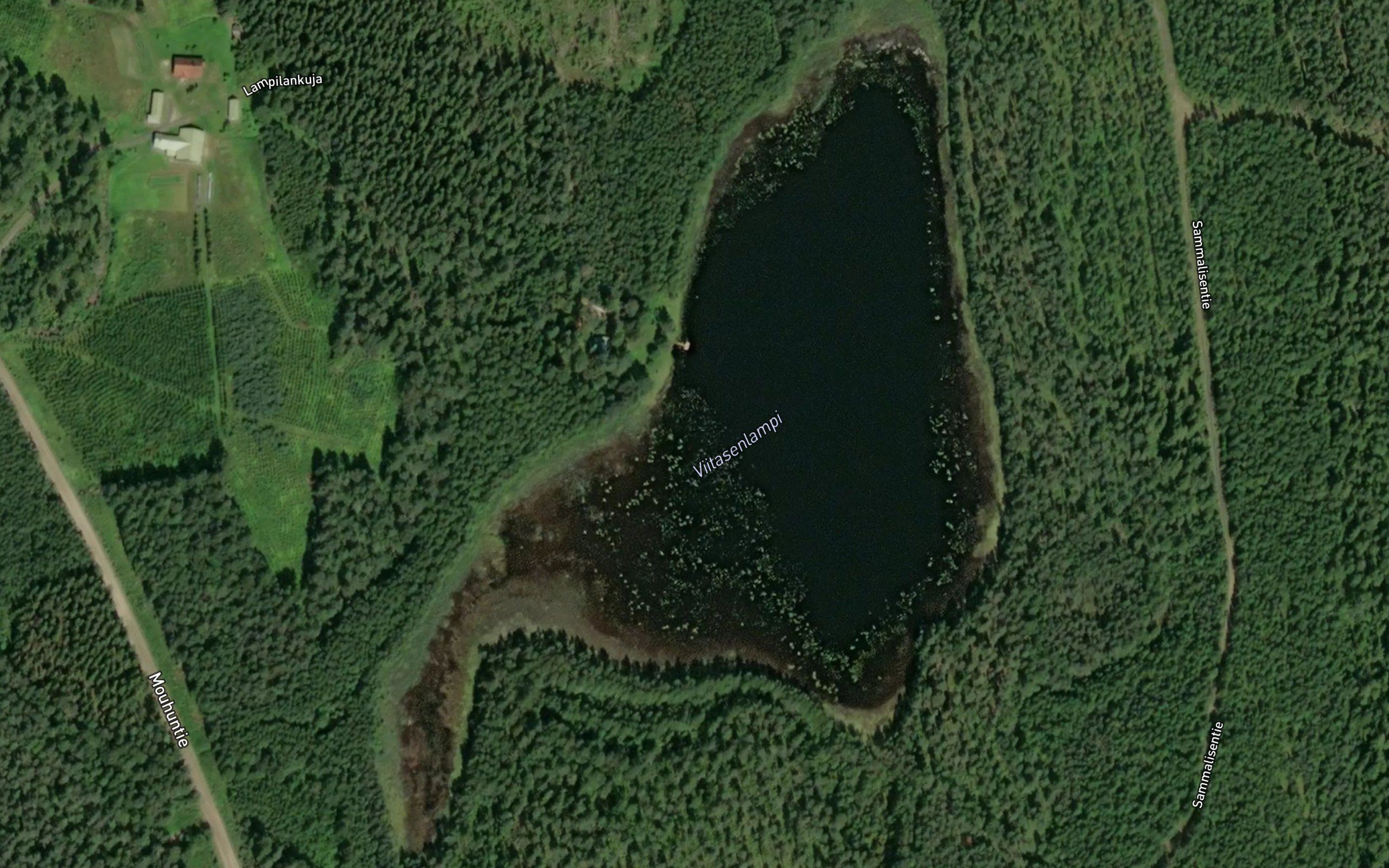 Viitasenlampi