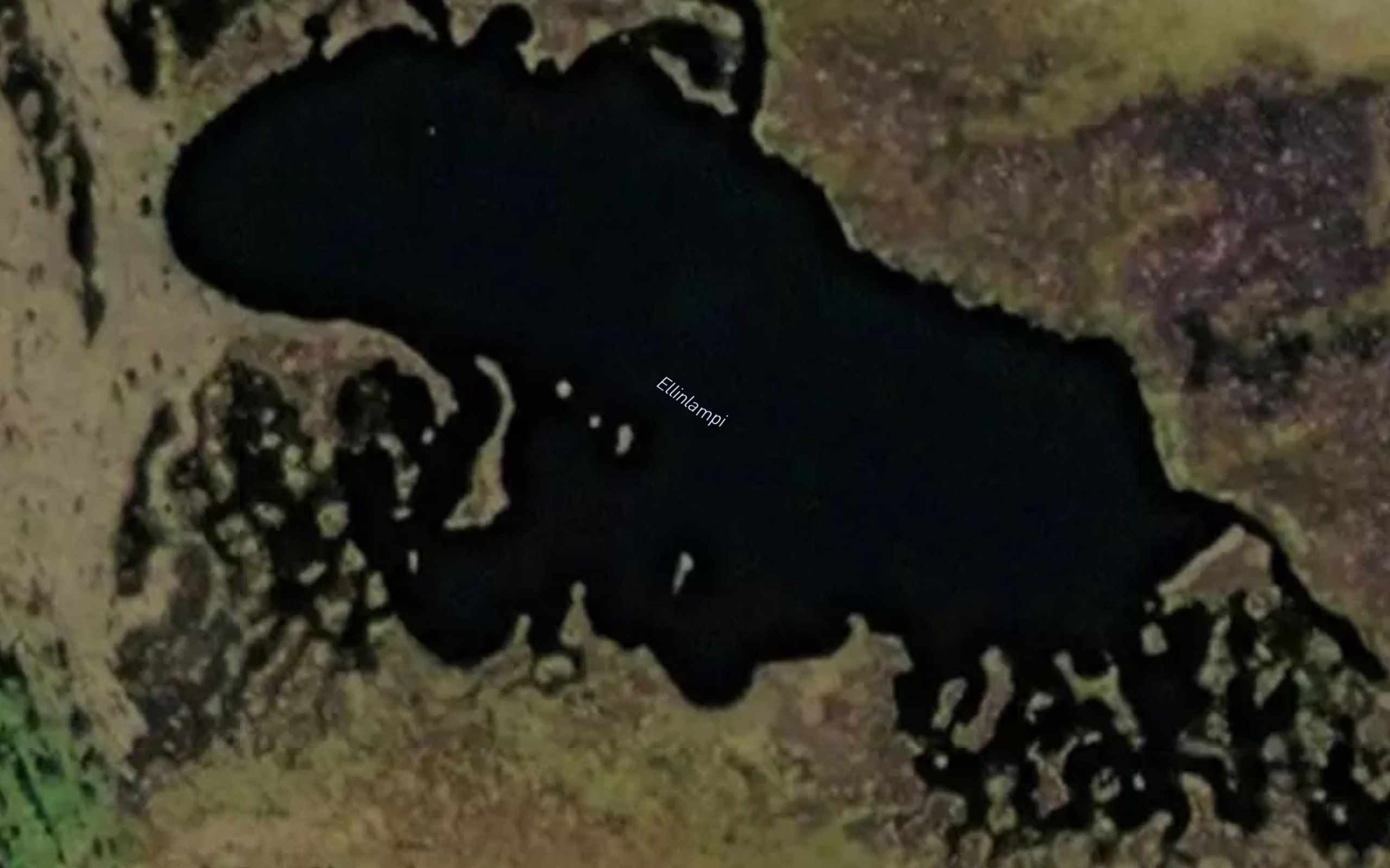 Ellinlampi