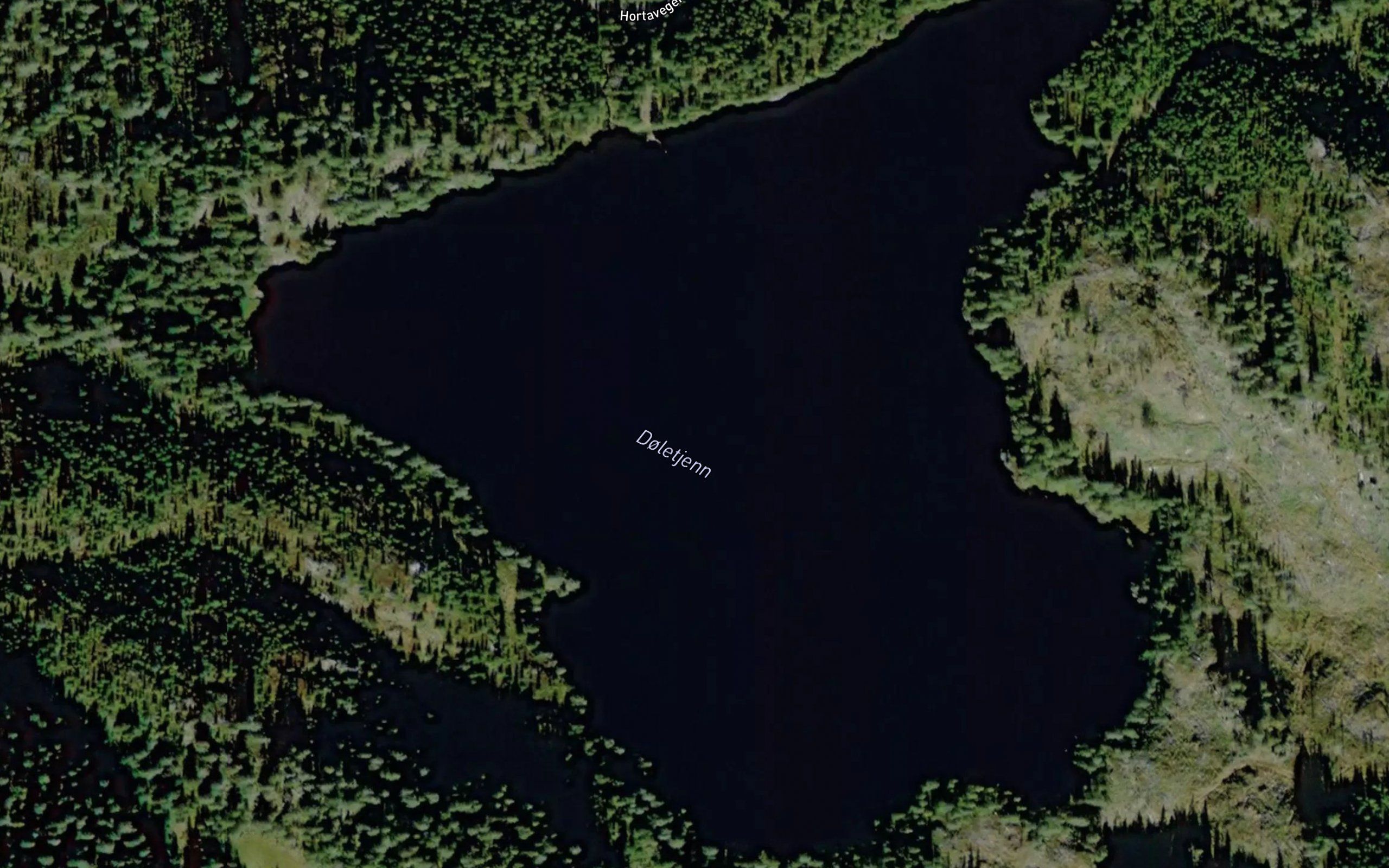 Doletjorn