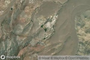 Needle Spring